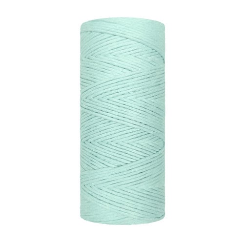 Single Twist 2MM – Aqua